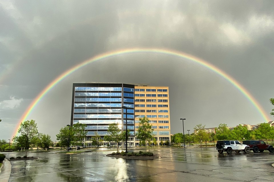 icat office with rainbow